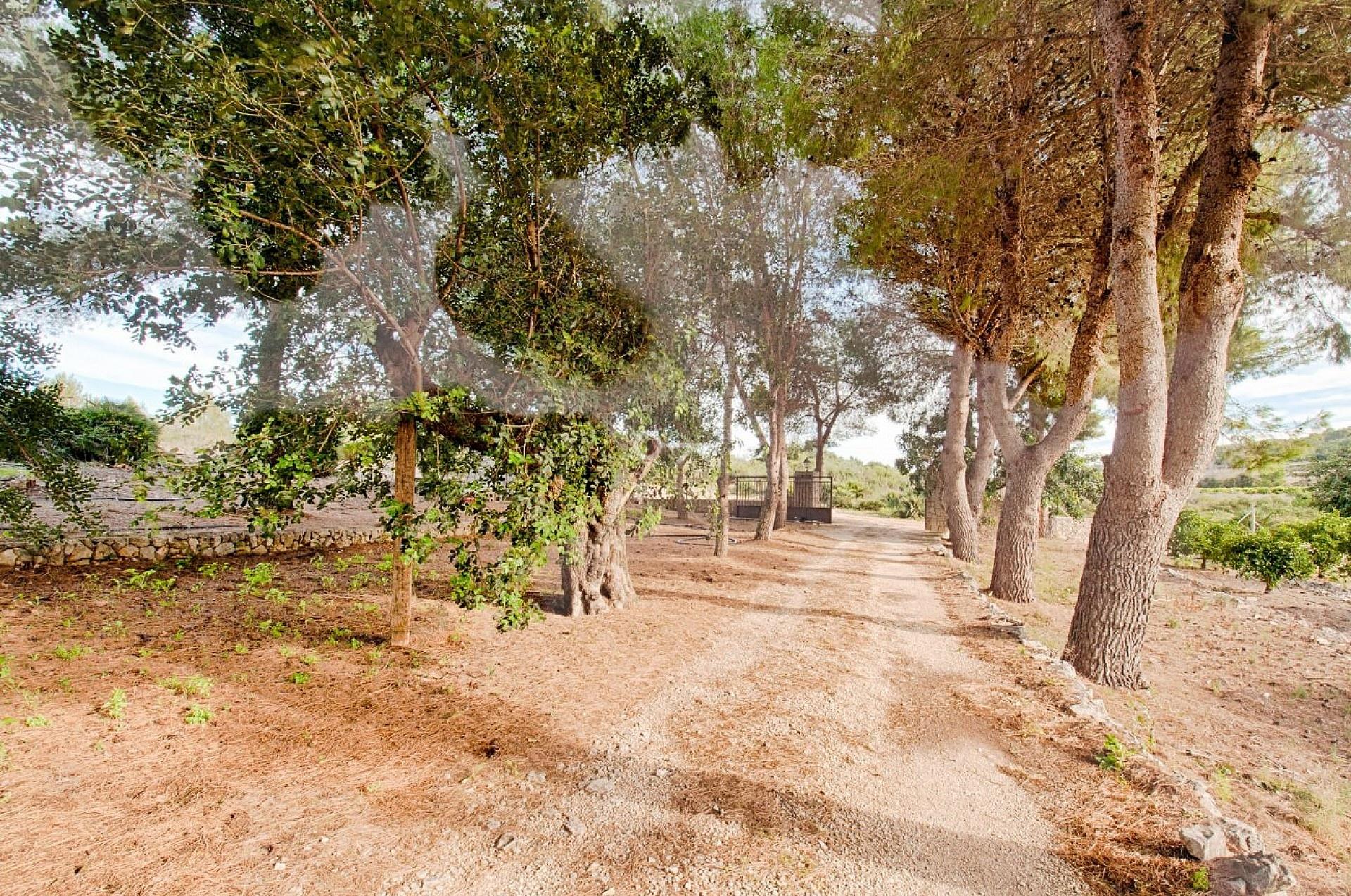 Finca te koop in Gata de Gorgos, Finca Gianella