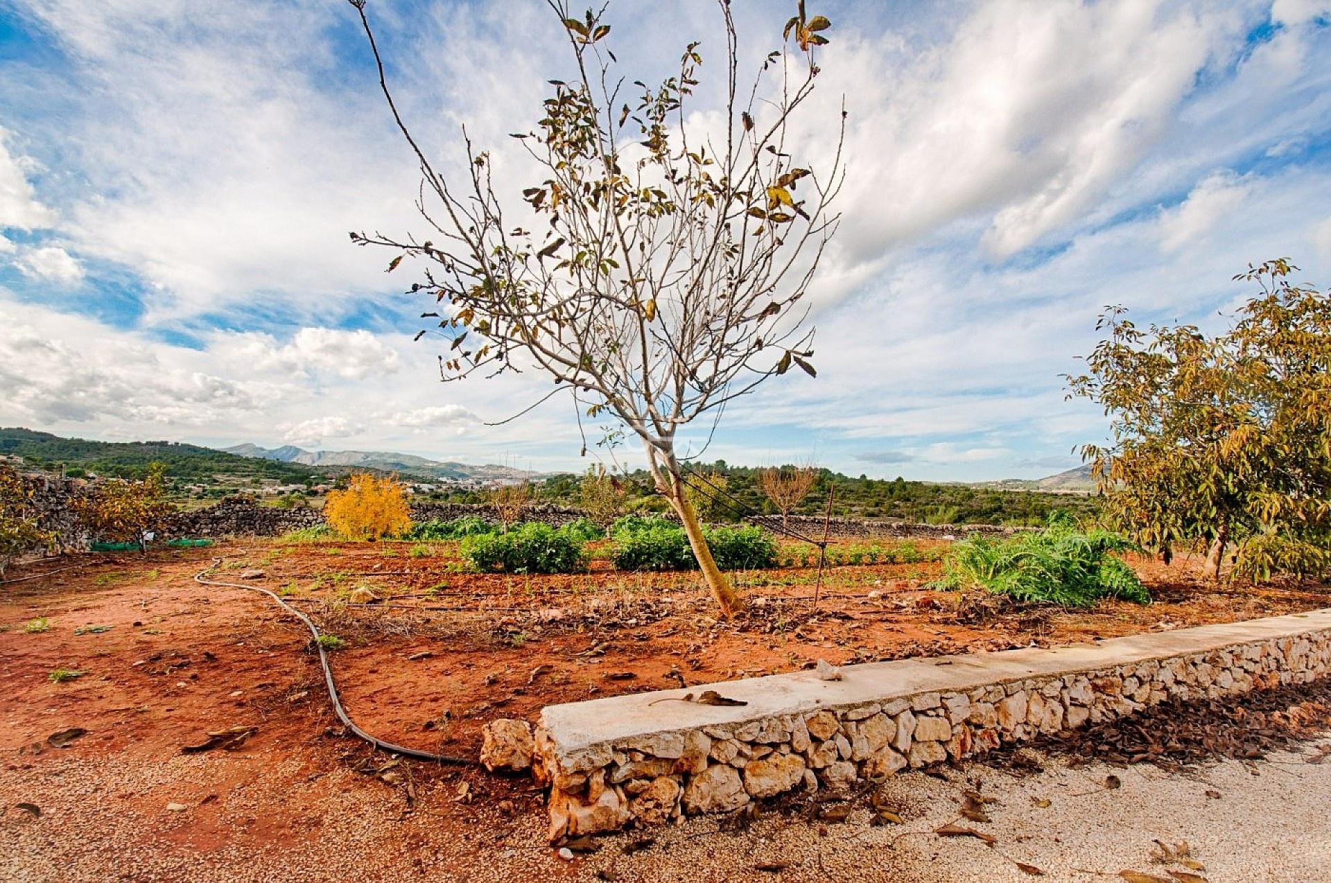 Finca te koop in Gata de Gorgos, Finca Gianella